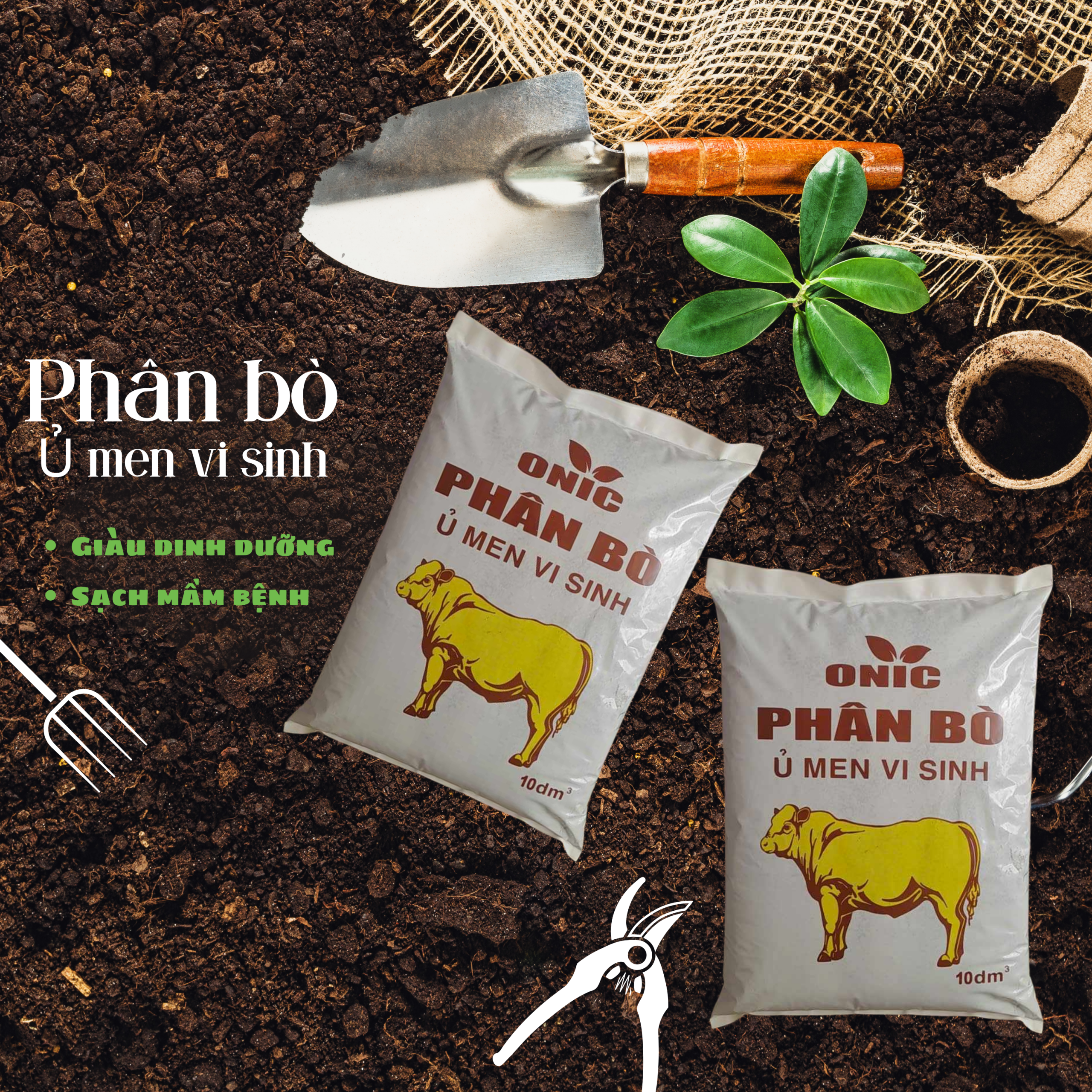 phan bo-h3