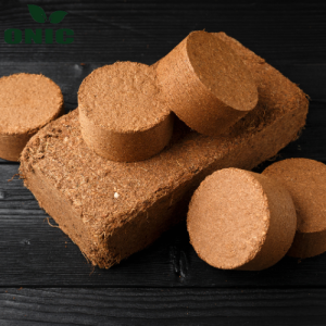Mụn dừa nén viên 100gr - 500gr