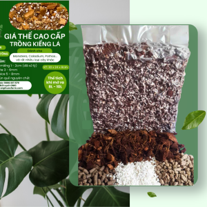 GIÁ THỂ CAO CẤP TRỒNG KIỂNG LÁ